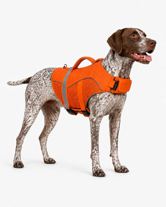 HuntingDog® ProShield - Pettorina protettiva ad alta visibilità per cani da caccia